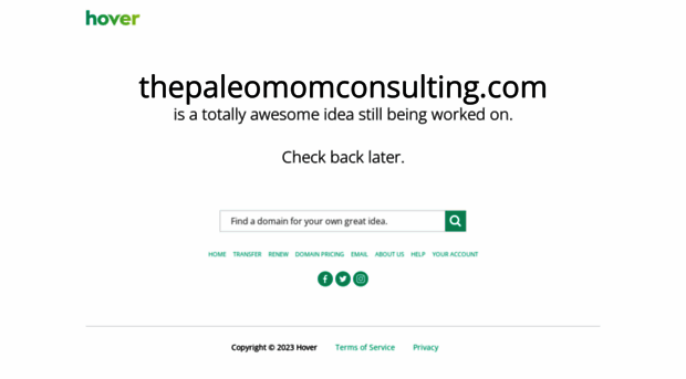 thepaleomomconsulting.com