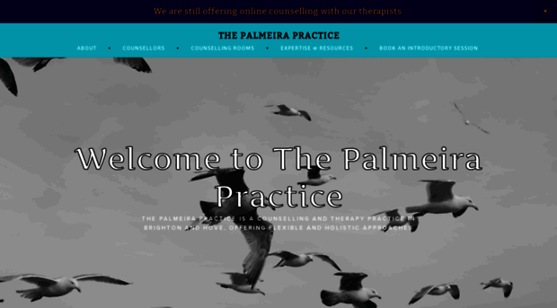 thepalmeirapractice.org.uk