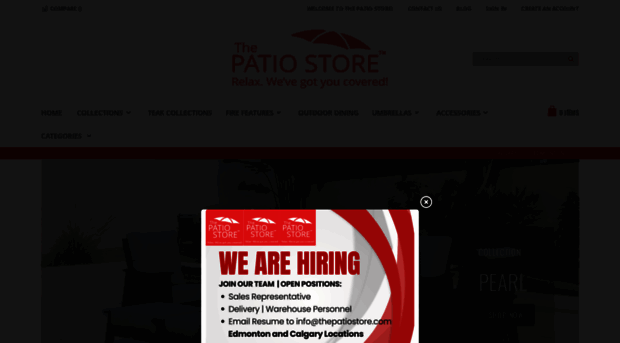 thepatiostore.com