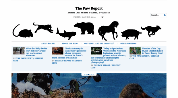 thepawreport.org