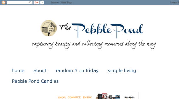 thepebblepond.com