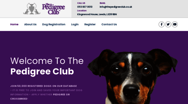 thepedigreeclub.co.uk