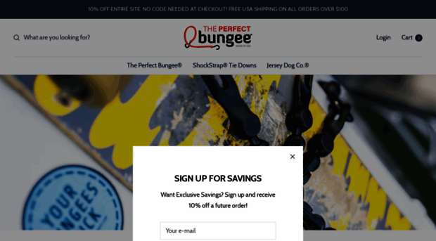 theperfectbungee.com