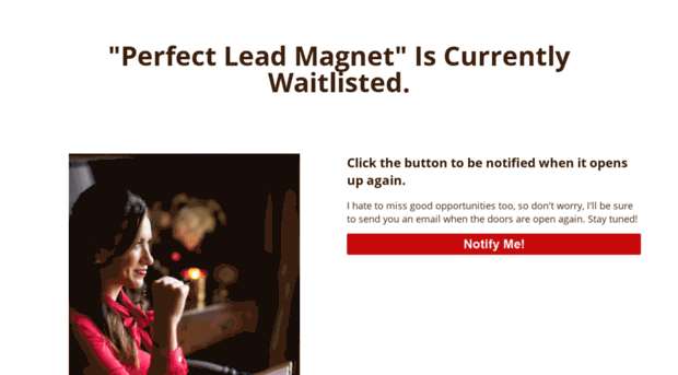 theperfectleadmagnet.com