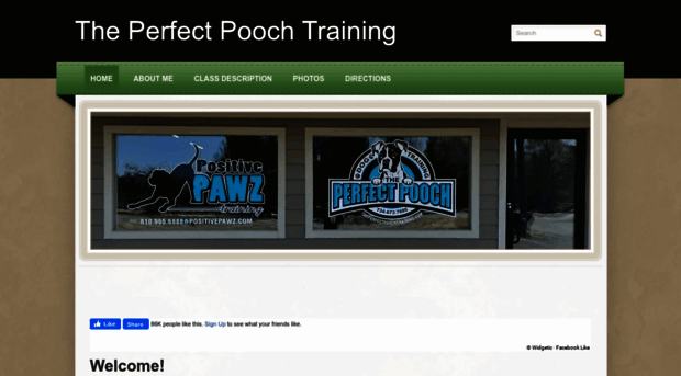 theperfectpoochtraining.com