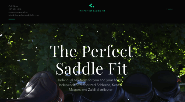 theperfectsaddlefit.com