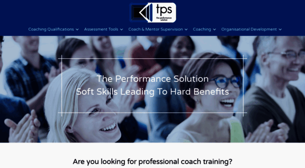 theperformancesolution.com