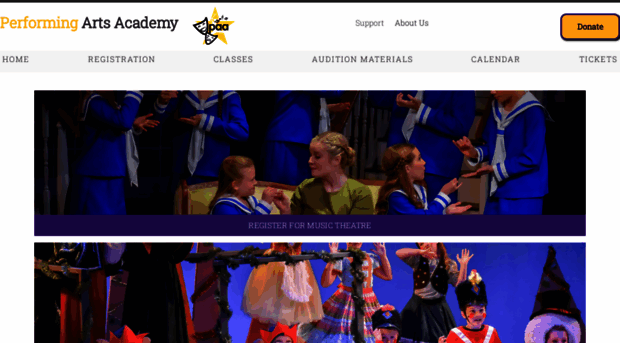 theperformingartsacademy.com