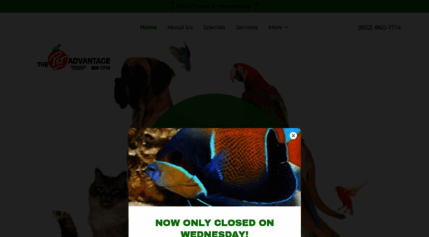 thepetadvantage.com