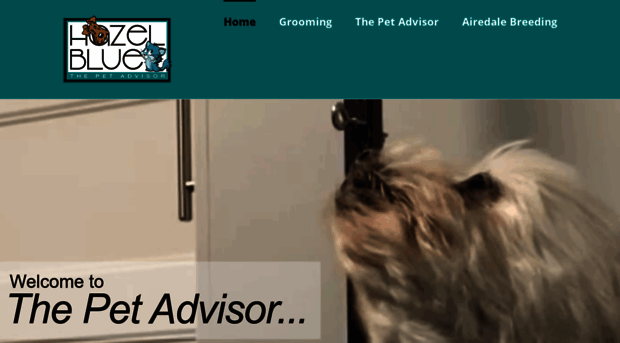 thepetadvisor.com