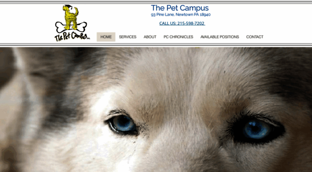 thepetcampus.com