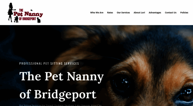 thepetnannyofbridgeport.com