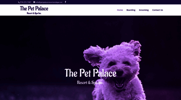 thepetpalacespa.com