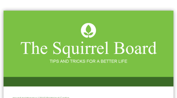 thepetsquirrelboard.com