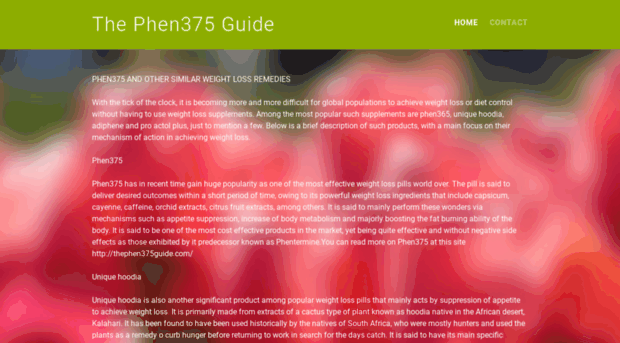 thephen375guide.yolasite.com