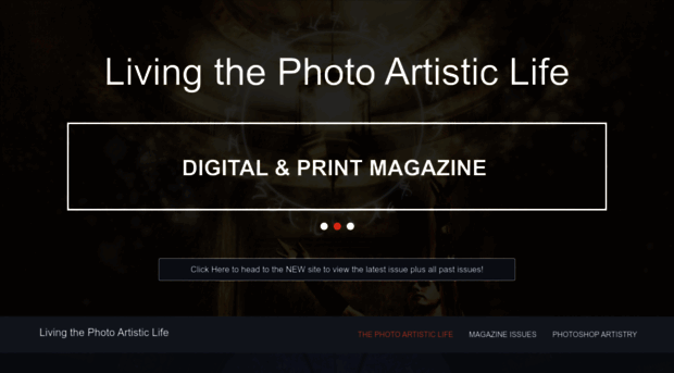 thephotoartisticlife.com