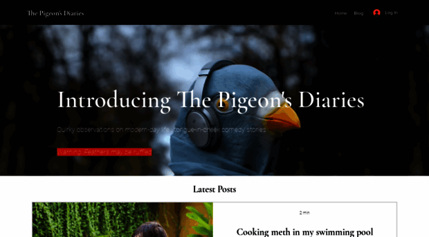 thepigeonsdiaries.com