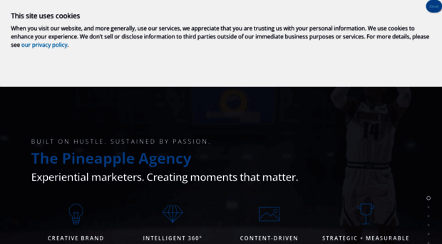 thepineappleagency.com