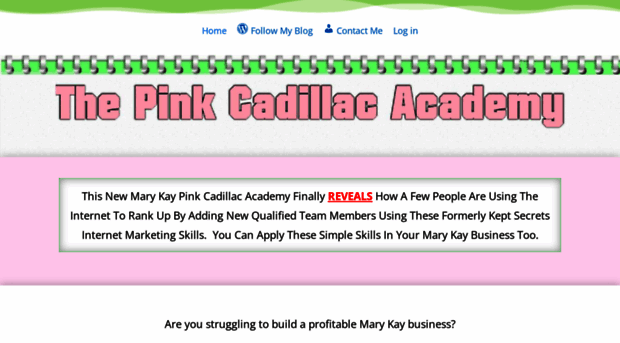 thepinkcadillacacademy.com