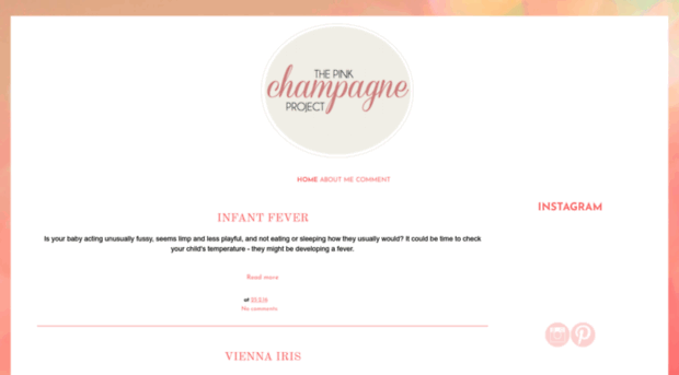 thepinkchampagneproject.blogspot.ca