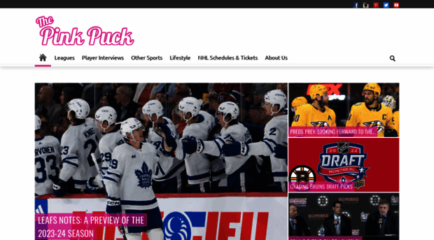 thepinkpuck.com