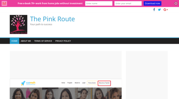 thepinkroute.com