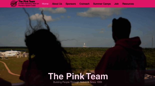 thepinkteam.net