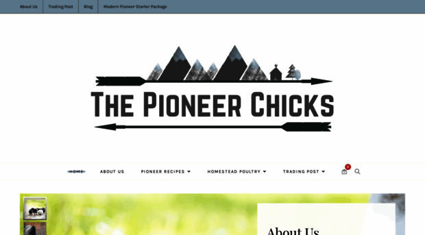 thepioneerchicks.com