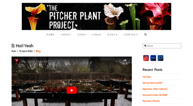 thepitcherplantproject.com