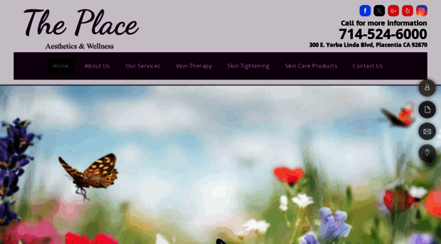 theplaceaesthetics.com