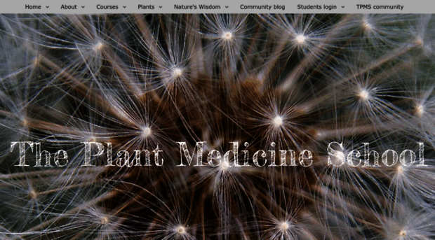 theplantmedicineschool.com