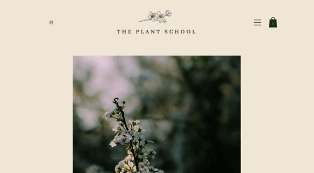 theplantschool.com