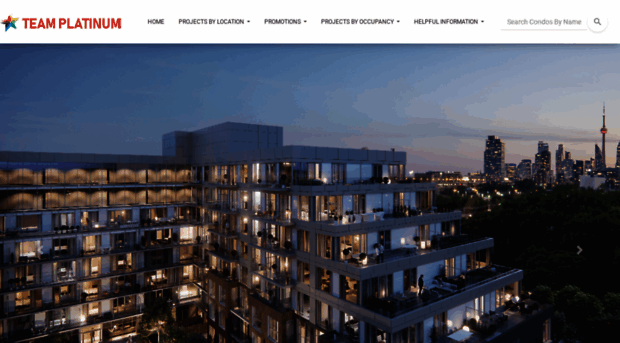 theplatinumteam.ca