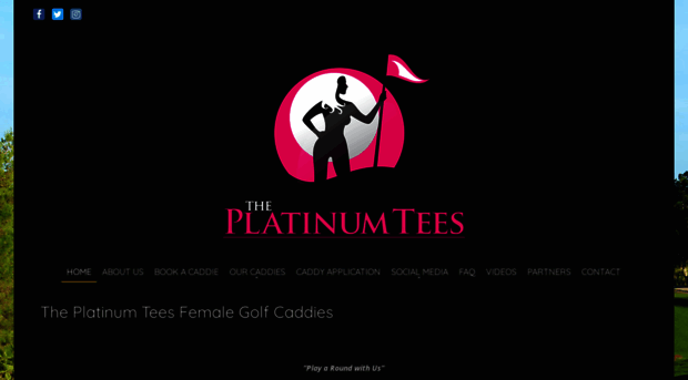 theplatinumtees.com