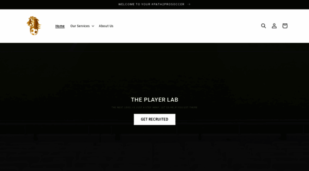 theplayerlab.com