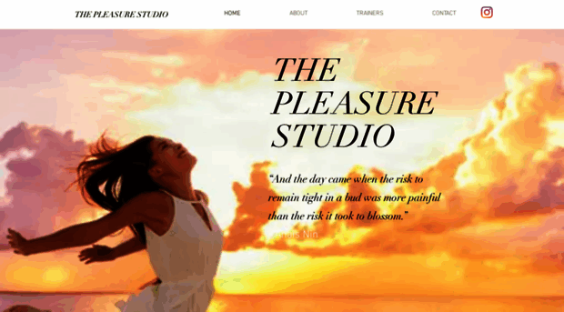 thepleasurestudio.com