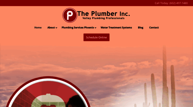 theplumberinc.com