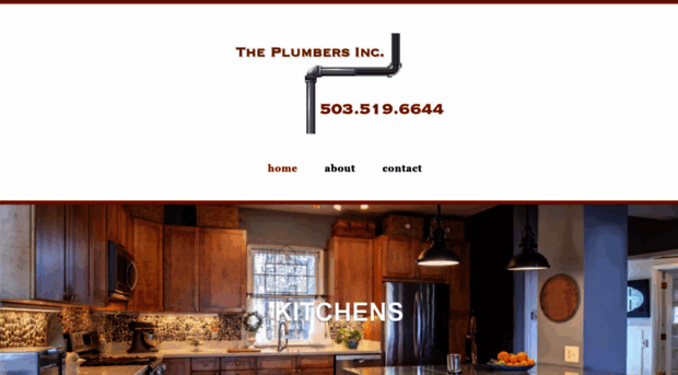 theplumbersinc.net