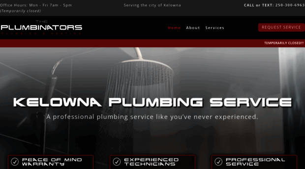 theplumbinators.com