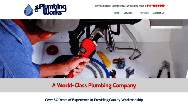 theplumbingworksor.com