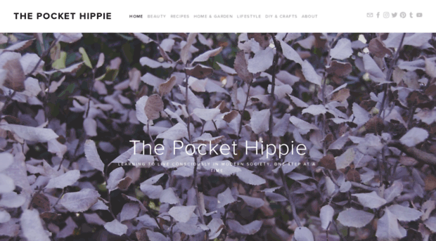 thepockethippie.com