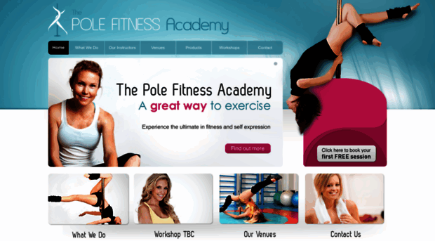 thepolefitnessacademy.co.uk