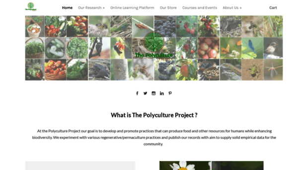 thepolycultureproject.com
