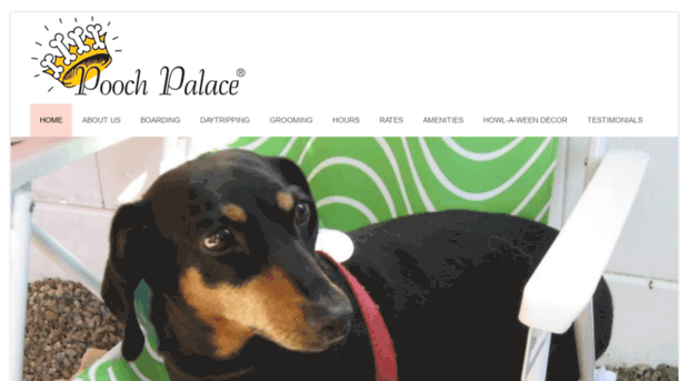 thepoochpalace.com