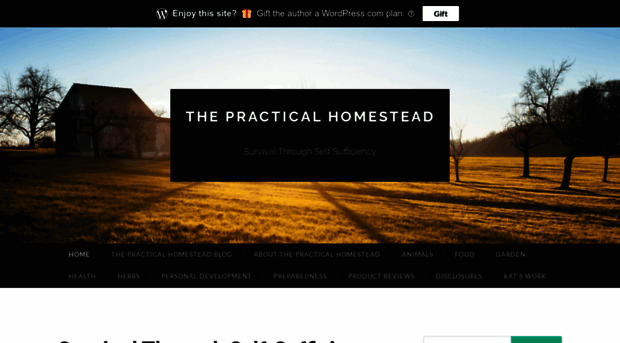 thepracticalhomestead.com