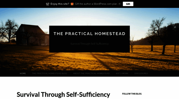 thepracticalhomestead.wordpress.com