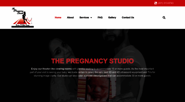 thepregnancystudio.com