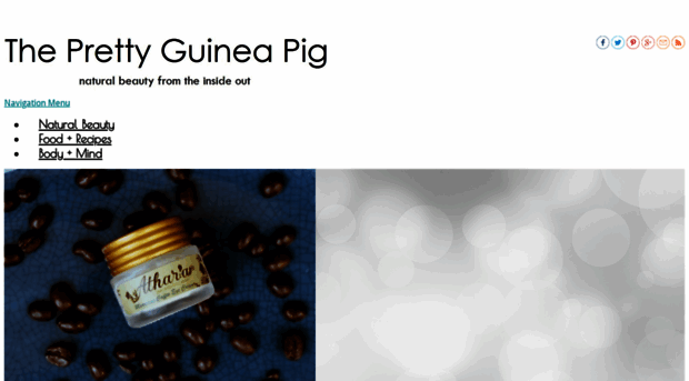 theprettyguineapig.com