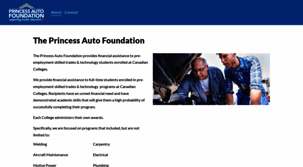 theprincessautofoundation.com