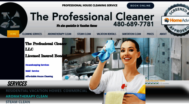 theprofessionalcleaner.org